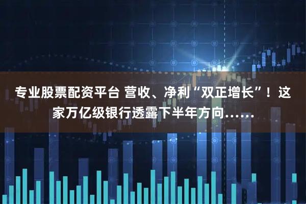 专业股票配资平台 营收、净利“双正增长”！这家万亿级银行透露下半年方向……