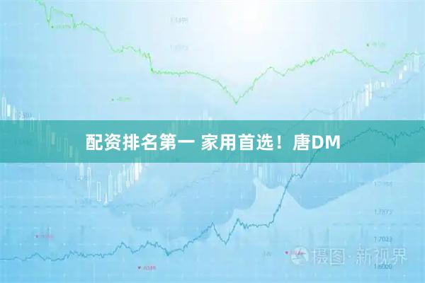 配资排名第一 家用首选！唐DM