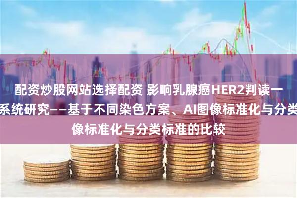 配资炒股网站选择配资 影响乳腺癌HER2判读一致性因素的系统研究——基于不同染色方案、AI图像标准化与分类标准的比较