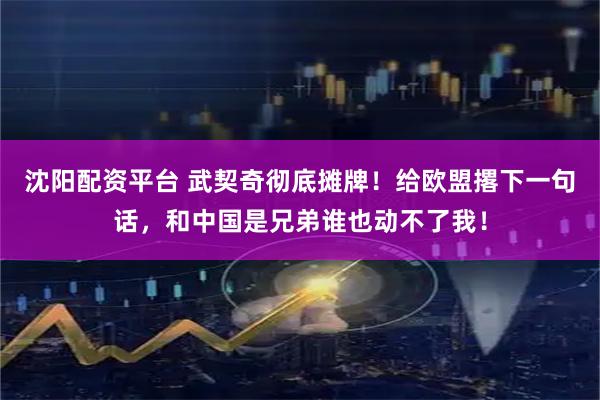 沈阳配资平台 武契奇彻底摊牌！给欧盟撂下一句话，和中国是兄弟谁也动不了我！